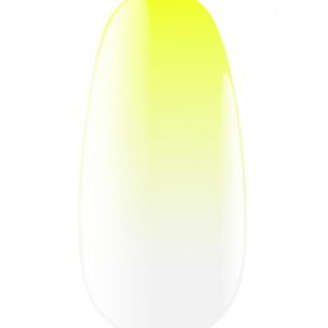 KODI Express Ombrе Spray 13, 5 g