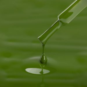 04 JL KODI Gēla laka 7ML