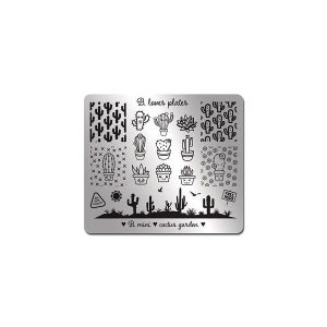 B.mini - cactus garden