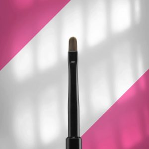 STALEKS Ota nagu modelēšanai [NBE-04]